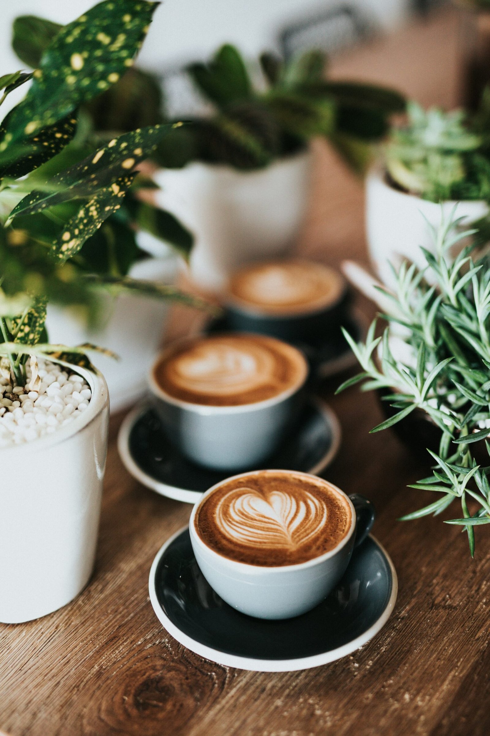 Frischer Kaffee
